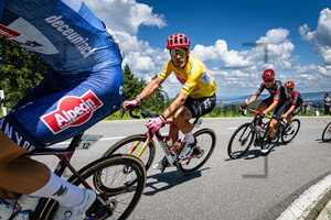 BETTIOL Alberto: Tour de Suisse - Men 2024 - 4. Stage