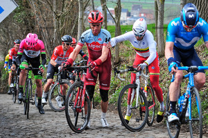 MARTIN Tony: Ronde Van Vlaanderen 2018