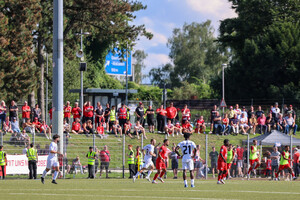 Mülheimer FC 97 - Rot-Weiss Essen Spielfotos 08.09.2024