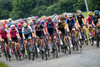 BERTON Nina: Tour de France Femmes 2023 – 7. Stage