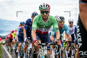 VELASCO Simone: Tour de Suisse - Men 2024 - 2. Stage