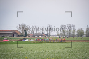 Peloton: Dwars Door Vlaanderen 2022 - MenÂ´s Race