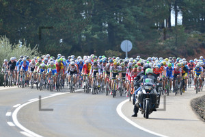 Peloton: UCI Road World Championships 2014 – Men Elite Road Race