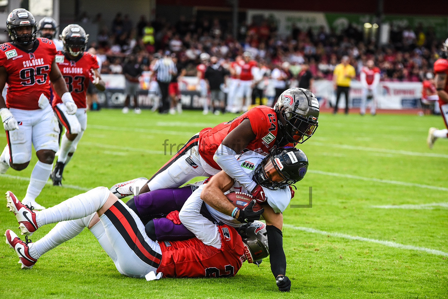 Photos Cologne Centurions vs. Frankfurt Galaxy 12.08.2023